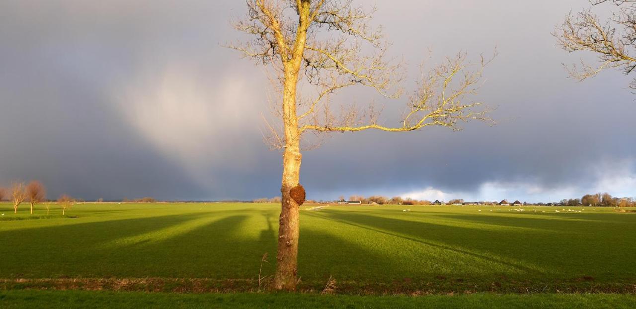 Tuinhuis Lutjewinkel Exteriér fotografie
