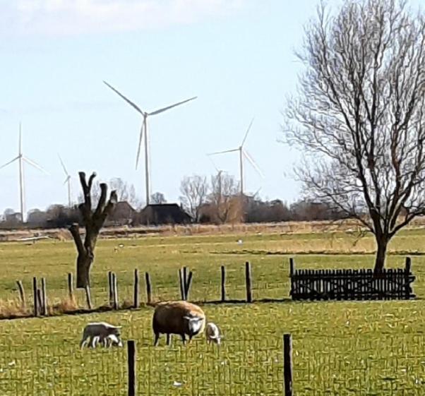 Tuinhuis Lutjewinkel Exteriér fotografie