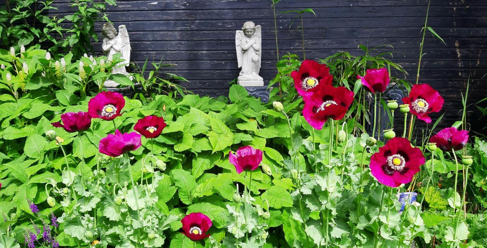 Tuinhuis Lutjewinkel Exteriér fotografie